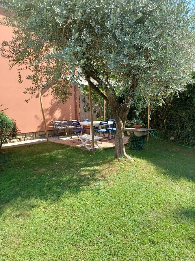 A Casa Di Berta Apartment Pietrasanta Italy